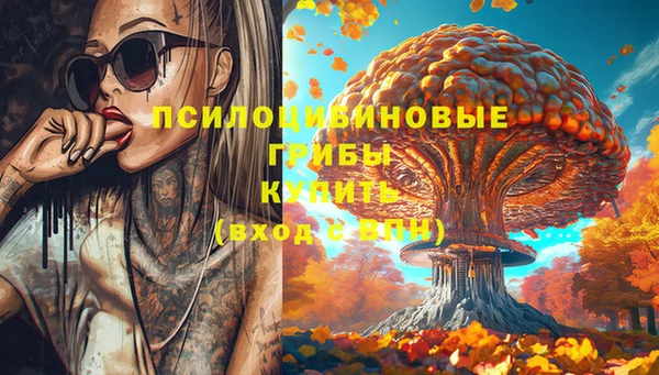 тгк Алзамай