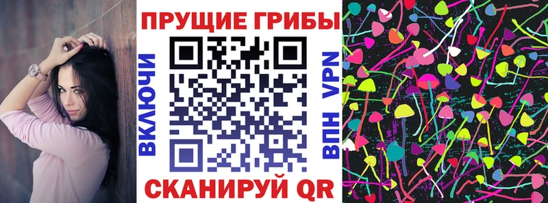Псилоцибиновые грибы MAGIC MUSHROOMS  кракен вход  Чаплыгин 